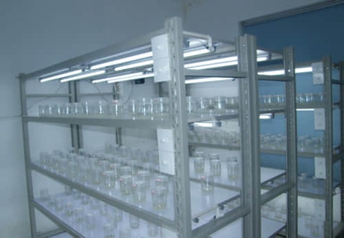 培養(yǎng)架，組培架，煉苗架