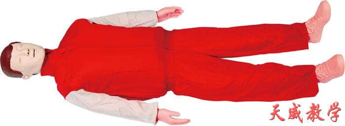 大屏幕心肺復(fù)蘇模擬人