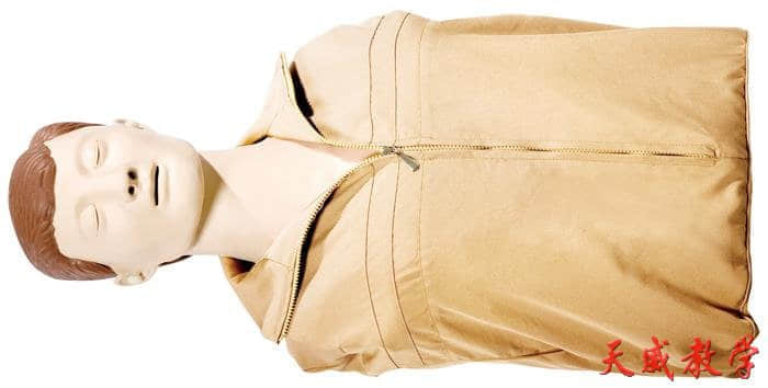 半身心肺復蘇模擬人