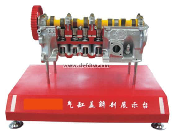 氣缸蓋解剖解剖模型