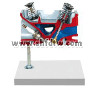 氣缸蓋解剖模型3氣門(mén)發(fā)動(dòng)機(jī)