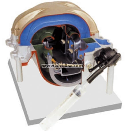 感應(yīng)開(kāi)關(guān)系統(tǒng)解剖模型