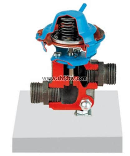 廢氣再循環(huán)解剖模型