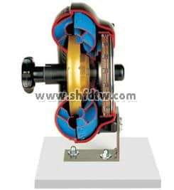 液力偶合器解剖模型