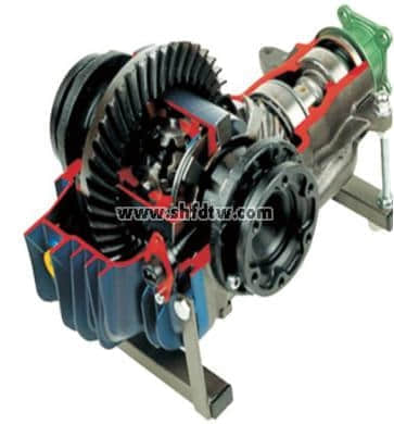 帶盤式鎖緊的后輪驅動裝置解剖模型