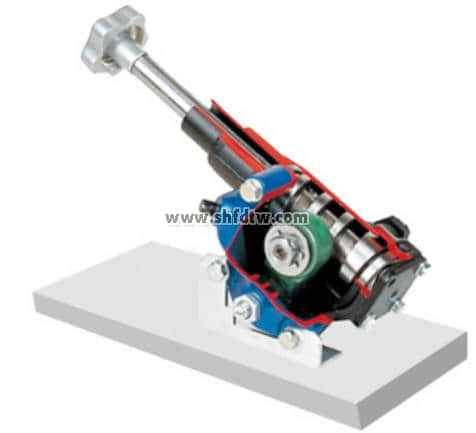 指形(finger)轉向器解剖模型