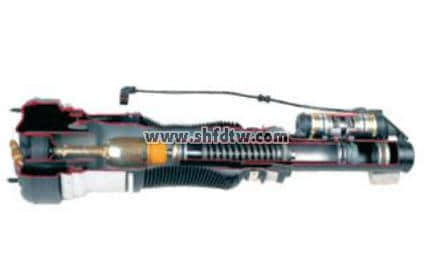 空氣懸掛桿總成解剖模型