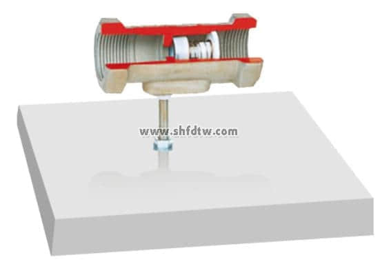 單向閥解剖模型